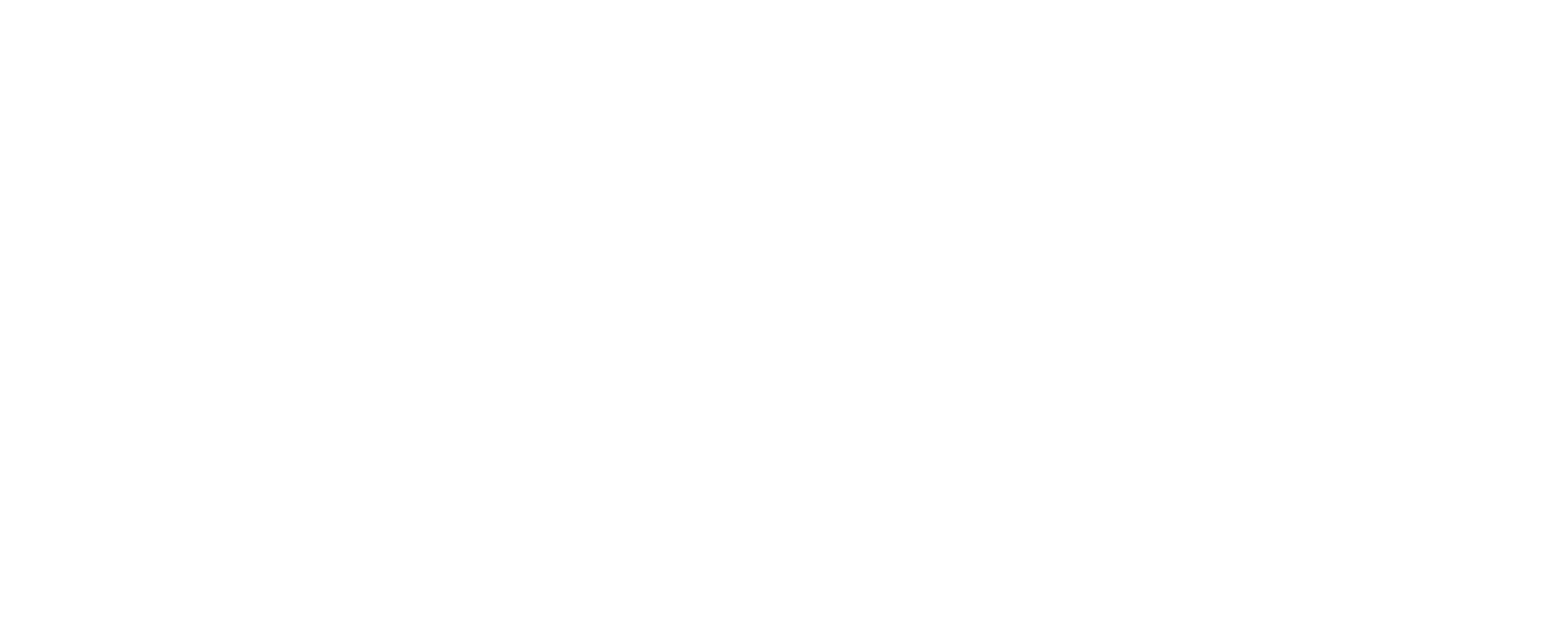 Logo: Dansk Servicepartner ApS
